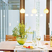 Gedeckter Tisch mit einer Pflanze, Flasche, Ausblick auf die Terrasse