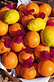 Frische Zitronen und Orangen, oben Blütenblätter.