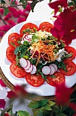 Knackiger Salat mit Tomaten und Radieschen auf weißem Teller.