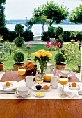 Laid breakfast table in Villa Barleben with a view of Lake Constance, Germany
