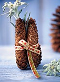 Pine cones and edelweiss flowers tied with a ribbon