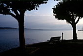 View from the shore of Lake Constance at dusk, Germany