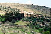 Blick auf Häuser auf einem grünen Hügel auf der Insel Mallorca.