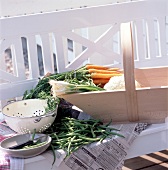 Cleaned carrots, leeks and green beans in garden basket on bench