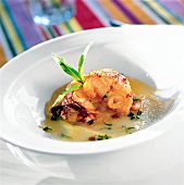 Lobster medallions garnished with verveine and sauce in bowl