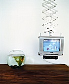Fernseher an einer Aufhängung, daneben ein Aquarium.