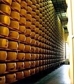 Parmigiano-Reggiano cheeses stacked on wooden shelves