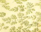 Herbs leaf pattern in wafer-thin pasta dough