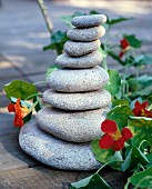 A stack of flat stones as garden decoration with nasturtiums