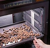 Hazelnuts being put into oven for roasting