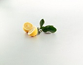 Halved lemon with leaves on white background