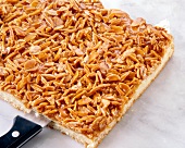 Close-up of nuts cake cut horizontally with knife