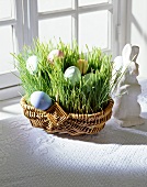 Wheat grasses and colourful Easter eggs in basket on window sill