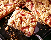 Close-up of cinnamon crumble cake with rhubarb on baking tray, one piece on cake server
