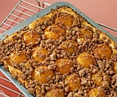 Close-up of chocolate crumb cake with apricots on baking tray