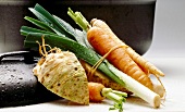 Fresh ingredients for preparing soup with celery, carrots and leeks