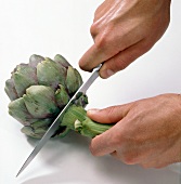 Artichoke stem being cut with knife