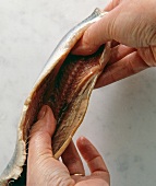 Close-up of woman opening the slit of herring fish