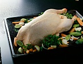 Stuffed duck with vegetables on tray