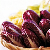 Radicchio Rosso 