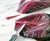 Close-up of red cabbage leaf veins cut with knife