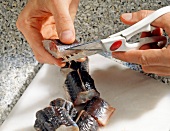 Close-up of woman cutting of fish fins with scissors