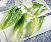 Lettuce cut into thin strips with a knife on cutting board