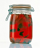 Red berry vinegar with mint in jar