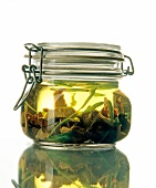 Yellow oil with fungus and sage in jar