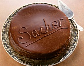 Sacher cake with apricot jam on plate