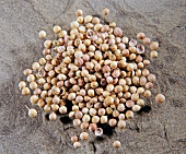 Close-up of coriander seeds on stone, overhead view