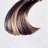 Close-up of blonde highlighted hair on white background