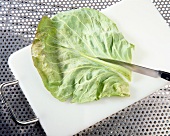 Slicing cabbage leaf on chopping board