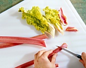 Rhabarber mit einem Küchenmesser in dünne Stücke schneiden, Step 1