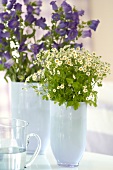Blumenstrauß aus Kamille und Flieder in einer weissen Vase