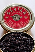 Eine rote Dose russischer Sevruga-Kaviar