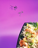 Vegetable rice with shrimp and dill on plate