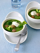 Brokkolisuppe mit Tatarbällchen 