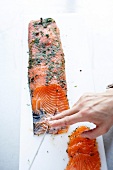 Salmon marinated with juniper and dill pickle being filleted