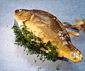 Stuffing the carp's abdomen with herbs