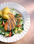 Chicken breast fillet with potato, savoy cabbage and apples on plate