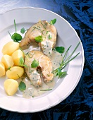 Cod loin with herb sauce served with potatoes on dish