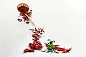 Fresh and dried red and green chillies on white background