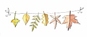 Blätter die an einer Leine hängen 