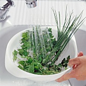 Herbs being washed for preparation of herb butter, step 1