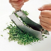 Washed and dried herbs being cut with mezzaluna for preparation of herb butter, step 3