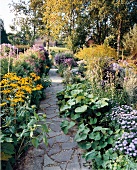 Flagstone path with perennials in garden