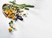 Gemüse aus aller Welt, versch. Auberginensorten in vielen Farben