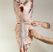 Hand cutting back of fallow deer, step 6