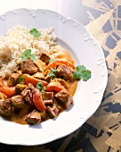 Close-up of lamb stew with tomatoes served with rice